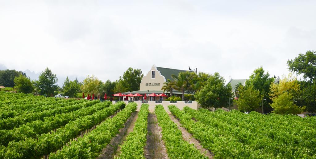 Skilpadvlei Wine Farm Stellenbosch Exterior foto